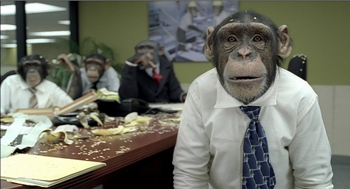 Chimpanzee in a meeting